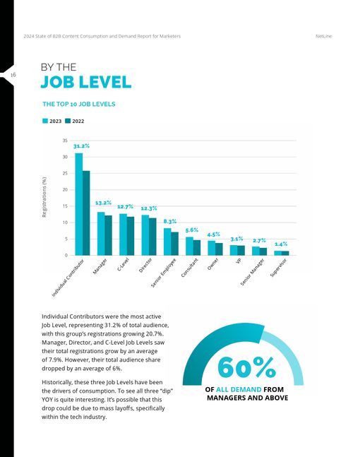 Netline 2024年B2B內(nèi)容使用與需求報(bào)告 數(shù)字文化創(chuàng)意內(nèi)容應(yīng)用服務(wù)的變革與機(jī)遇